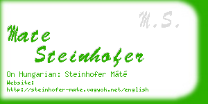 mate steinhofer business card